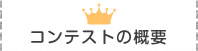 コンテストの概要