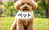 ペット