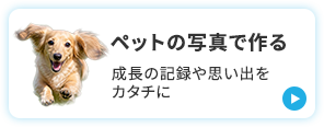 ペットの写真で作る